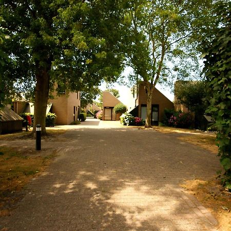 Nice Holiday Home In Burgh Haamstede Near Beach Exterior foto